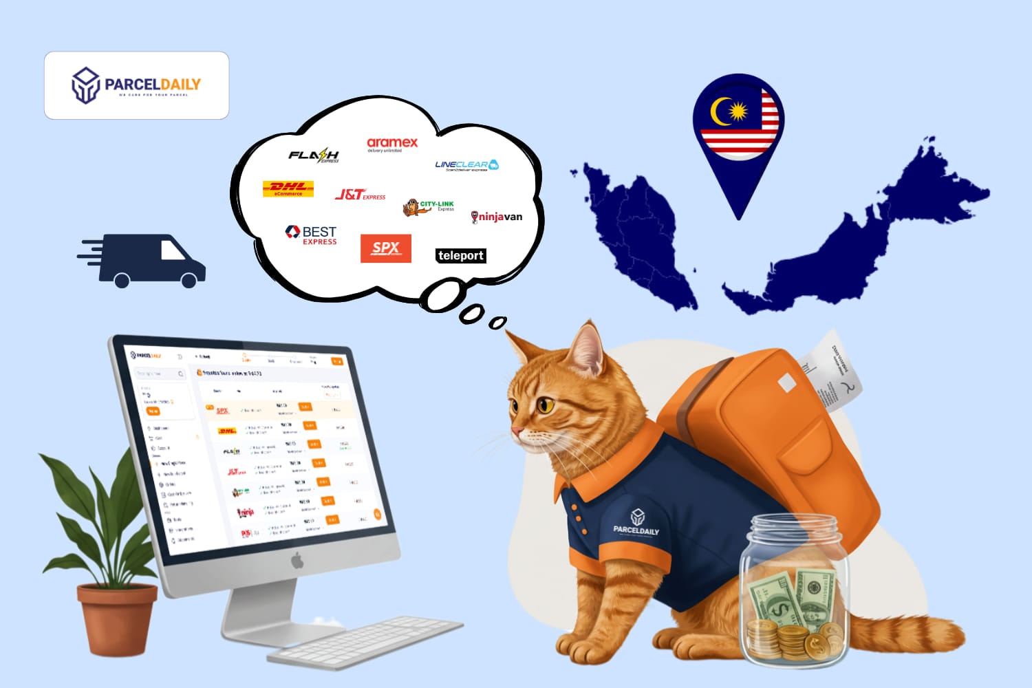 Cat looking at desktop looking for affordable courier service